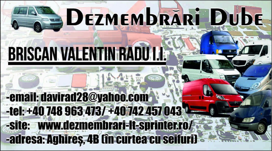 Briscan Valentin Radu Intreprindere Individuala - Salaj