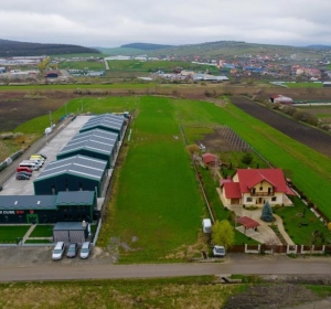 Briscan Valentin Radu Intreprindere Individuala - Salaj