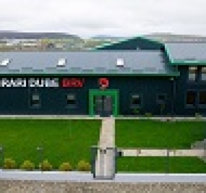 Briscan Valentin Radu Intreprindere Individuala - Salaj